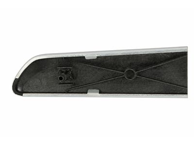 2007 Mercedes-Benz R320 Door Moldings - 251-720-01-22