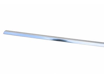 2020 Mercedes-Benz C300 Door Moldings - 205-725-14-65