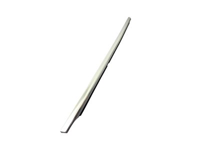 2022 Mercedes-Benz S580 Door Moldings - 223-690-67-03