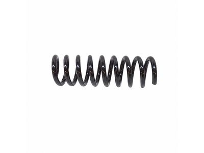 1999 Mercedes-Benz E320 Coil Springs - 202-324-18-04