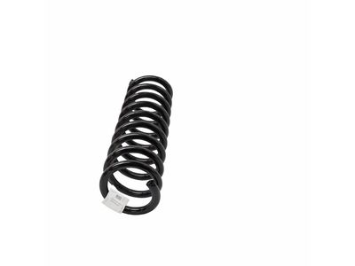 1999 Mercedes-Benz E320 Coil Springs - 202-324-18-04