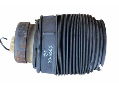 2017 Mercedes-Benz CLS63 AMG S Air Suspension Spring - 212-320-43-25-64