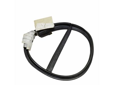 2003 Mercedes-Benz C240 Weather Strip - 203-698-32-98