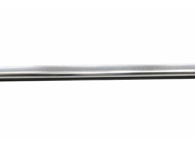2020 Mercedes-Benz CLS53 AMG Door Moldings - 257-725-05-00-64