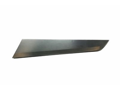 2013 Mercedes-Benz C250 Door Moldings - 204-730-30-22