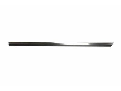 2013 Mercedes-Benz E350 Door Moldings - 207-720-03-00-64