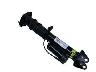 Mercedes-Benz R63 AMG Shock Absorber - 251-320-04-31