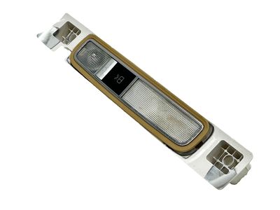 2009 Mercedes-Benz S65 AMG Interior Lights - 221-820-16-01