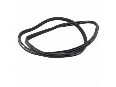 Mercedes-Benz C320 Door Seal - 203-730-03-78