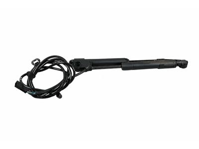 2005 Mercedes-Benz CLK500 Lift Support - 209-980-01-64