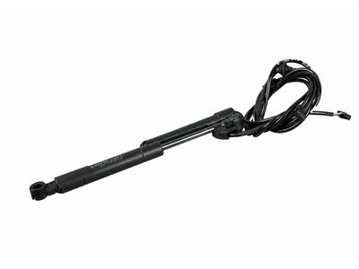 2005 Mercedes-Benz CLK500 Lift Support - 209-980-01-64