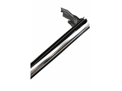 2009 Mercedes-Benz CL600 Door Moldings - 216-690-02-80
