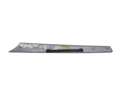 2009 Mercedes-Benz GL450 Door Moldings - 164-720-14-22