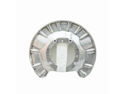 Mercedes-Benz GLE350 Brake Dust Shield - 166-423-04-20