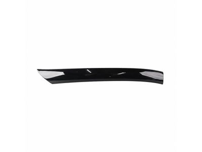 2004 Mercedes-Benz CL55 AMG Pillar Panels - 215-690-07-87