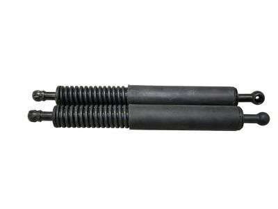 2007 Mercedes-Benz R63 AMG Lift Support - 251-980-07-64