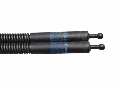 2007 Mercedes-Benz R63 AMG Lift Support - 251-980-07-64