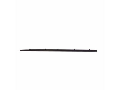 2023 Mercedes-Benz EQE 350 SUV Weather Strip - 294-698-02-00
