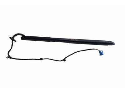 2019 Mercedes-Benz GLE43 AMG Lift Support - 292-890-04-00