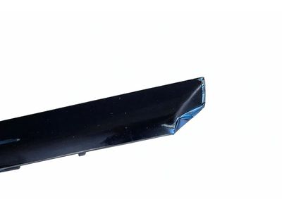 2020 Mercedes-Benz C300 Door Moldings - 205-720-87-13