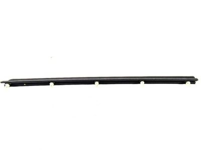 Mercedes-Benz C280 Door Seal - 202-690-75-62