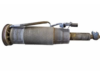 2010 Mercedes-Benz CL63 AMG Shock Absorber - 221-320-79-13-80