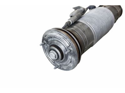 2010 Mercedes-Benz CL63 AMG Shock Absorber - 221-320-79-13-80