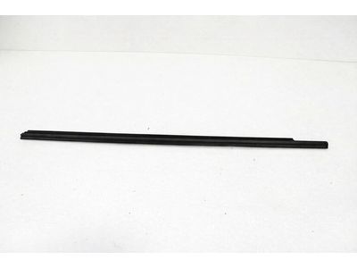 2013 Mercedes-Benz E350 Door Moldings - 212-725-03-65