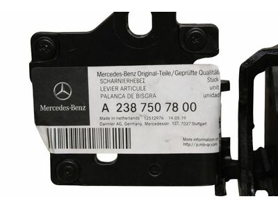 2019 Mercedes-Benz E450 Door Hinge - 238-750-78-00