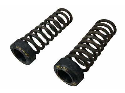 Mercedes-Benz 300SDL Coil Springs - 124-324-11-04