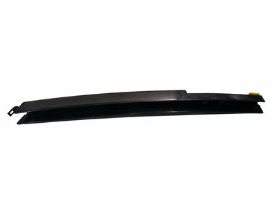 2004 Mercedes-Benz S600 Door Moldings - 220-690-05-80