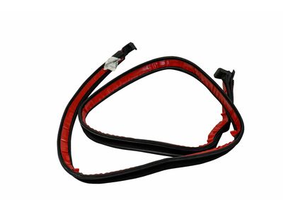 2012 Mercedes-Benz S65 AMG Weather Strip - 221-720-12-78