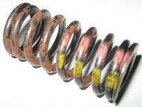 Mercedes-Benz 271-053-10-20 Valve Springs Mercedes-Benz 271-053-10-20 Valve Springs