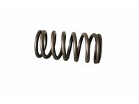 Mercedes-Benz 640-053-01-20 Valve Springs Mercedes-Benz 640-053-01-20 Valve Springs
