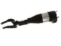 Mercedes-Benz 167-320-05-03 Shock Assembly Mercedes-Benz 167-320-05-03 Shock Assembly