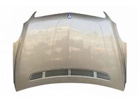 Mercedes-Benz 251-880-01-57 Hood