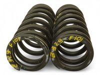 Mercedes-Benz 211-320-15-25-80 Coil Spring Mercedes-Benz 211-320-15-25-80 Coil Spring
