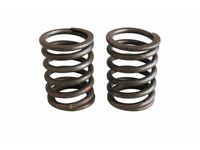 Mercedes-Benz 110-053-01-20 Valve Springs Mercedes-Benz 110-053-01-20 Valve Springs