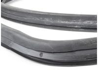 Mercedes-Benz 123-670-05-39 Weatherstrip Mercedes-Benz 123-670-05-39 Weatherstrip