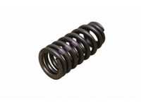 Mercedes-Benz 139-053-03-00 Valve Springs Mercedes-Benz 139-053-03-00 Valve Springs