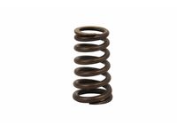 Mercedes-Benz 111-053-00-20 Valve Springs Mercedes-Benz 111-053-00-20 Valve Springs