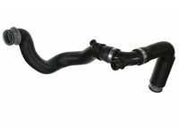 Mercedes-Benz 203-501-55-82 Lower Hose Mercedes-Benz 203-501-55-82 Lower Hose