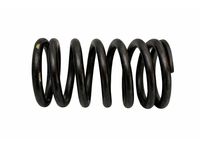 Mercedes-Benz 177-053-05-00 Valve Springs Mercedes-Benz 177-053-05-00 Valve Springs