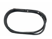 Mercedes-Benz 253-740-25-00 Weatherstrip Mercedes-Benz 253-740-25-00 Weatherstrip
