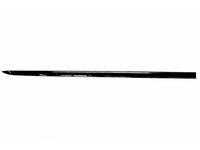 Mercedes-Benz 294-690-17-01 Body Side Molding