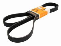 Mercedes-Benz 003-993-00-96 Serpentine Belt Mercedes-Benz 003-993-00-96 Serpentine Belt