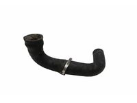 Mercedes-Benz 202-501-60-82 Lower Hose Mercedes-Benz 202-501-60-82 Lower Hose