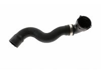 Mercedes-Benz 230-501-09-82 Upper Hose Mercedes-Benz 230-501-09-82 Upper Hose