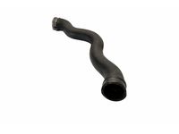 Mercedes-Benz 202-501-24-82 Upper Hose Mercedes-Benz 202-501-24-82 Upper Hose