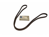 Mercedes-Benz 011-997-29-92 Serpentine Belt